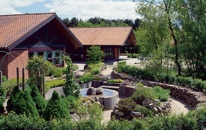 PIndstrup Centret 800x500
